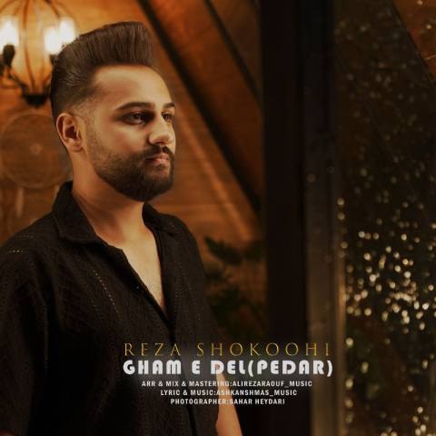 دانلود آهنگ رضا شکوهی به نام غم دل (پدر)